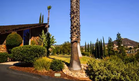 Exterior view of Villa Alegre Senior Care Homes with palm trees and manicured shrubs.