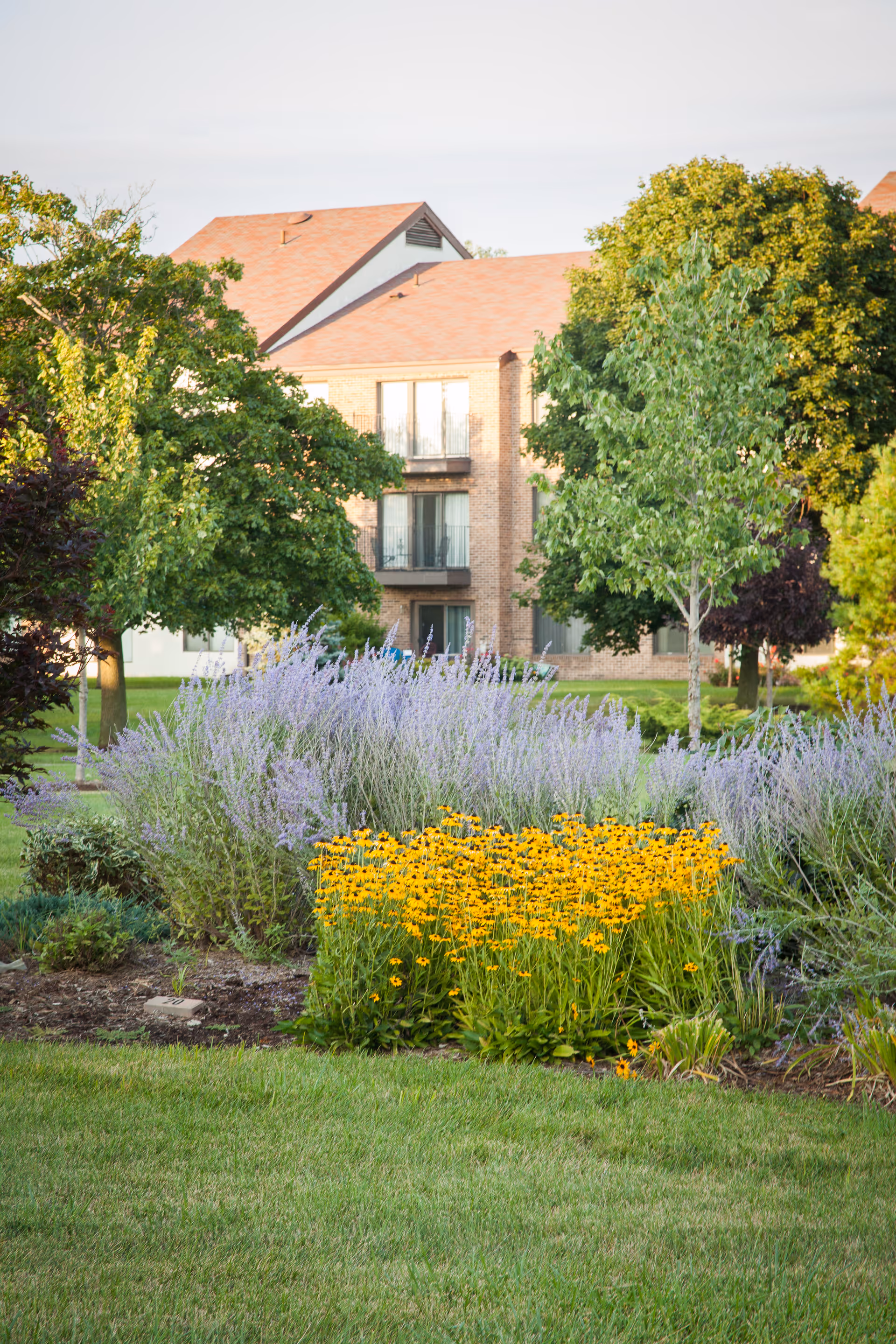 Brick multi-story building seen behind a landscaped lawn and beds of yellow and purple flowers with trees in front.