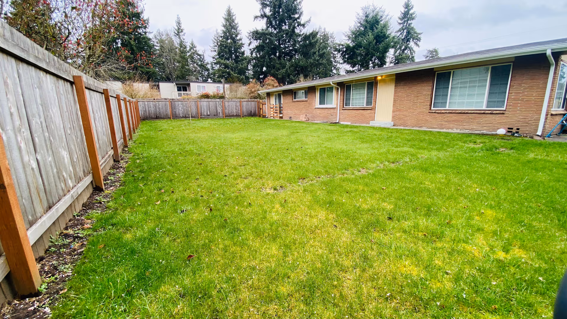 A large grassy backyard area enclosed by a wooden fence on the left side and a single-story brick building with multiple windows on the right side. Tall evergreen trees are visible in the background under a cloudy sky.