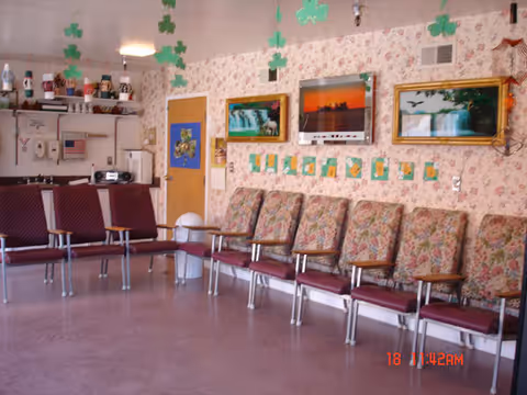 A waiting room with two rows of chairs, one row with maroon cushioned seats and the other with floral patterned cushioned seats. The walls have floral wallpaper and are decorated with framed pictures, including waterfalls and a sunset. Green shamrock decorations hang from the ceiling. There is a door and a small counter area with various items on shelves in the background.