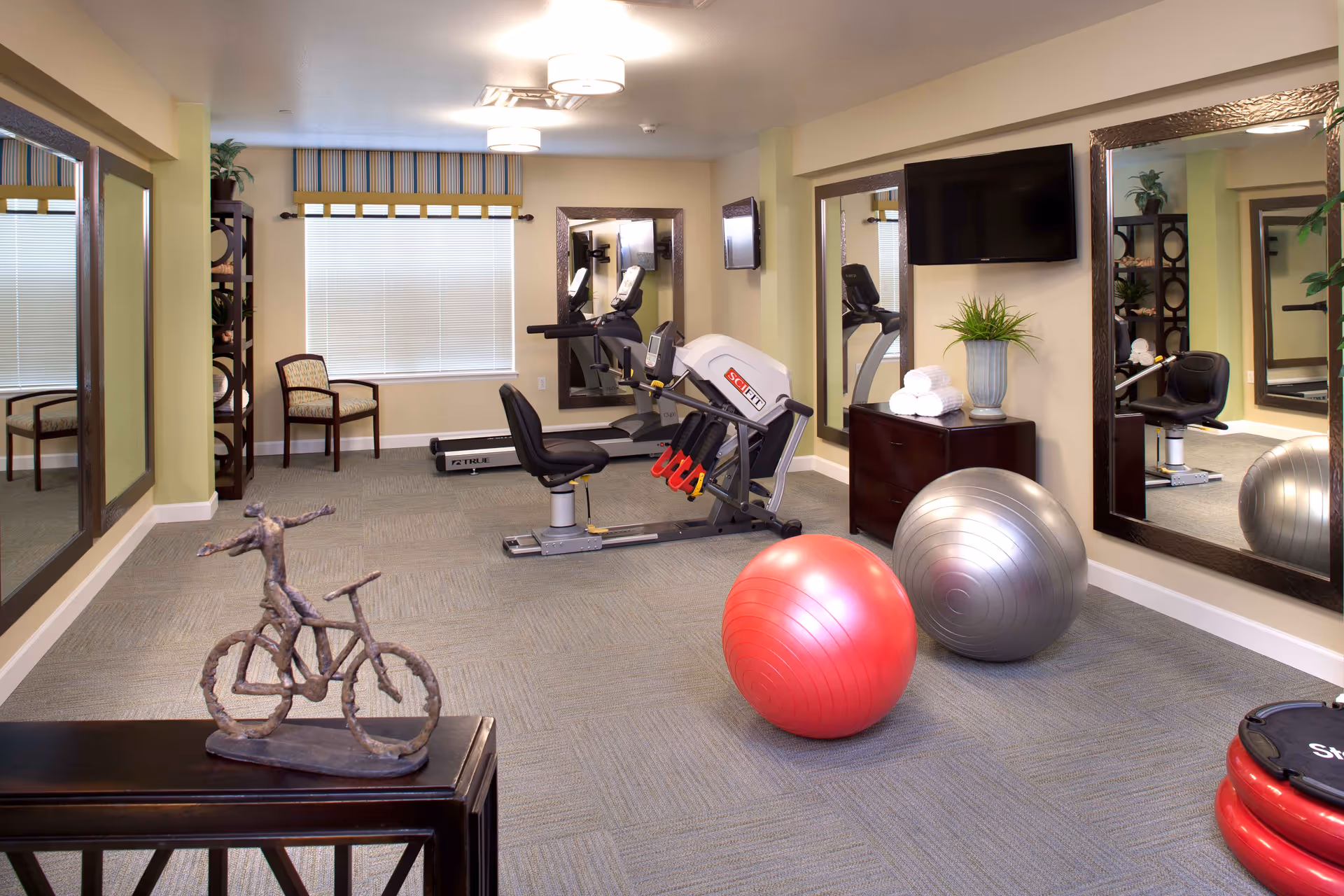 A well-lit exercise room with a recumbent exercise bike, treadmill, two large exercise balls (one red and one silver), a TV mounted on the wall, large mirrors, a small cabinet with rolled white towels and a plant, a chair near the window with blinds, and a decorative sculpture of a person riding a bicycle on a table.