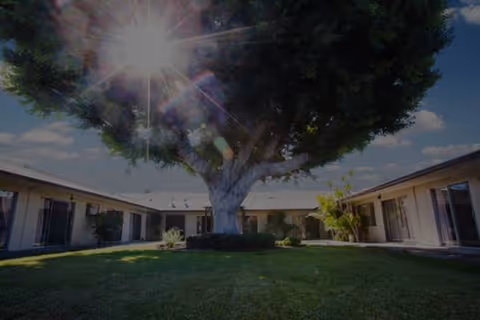 Sunlit courtyard with a large tree surrounded by single-story retirement center buildings.