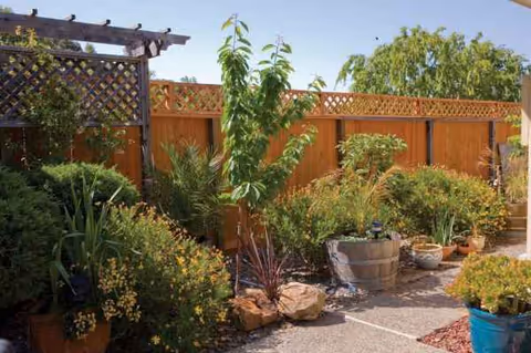 Sunny outdoor courtyard with potted plants, a wooden lattice fence, and a gravel path.