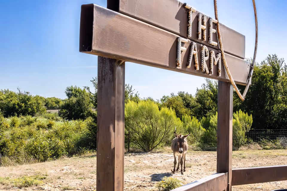 A brown wooden sign with the words 'THE FARM' carved and painted in white rope letters, with a lasso hanging on the right side. Behind the sign, there is a donkey standing on dry ground with green bushes and trees in the background under a clear blue sky.