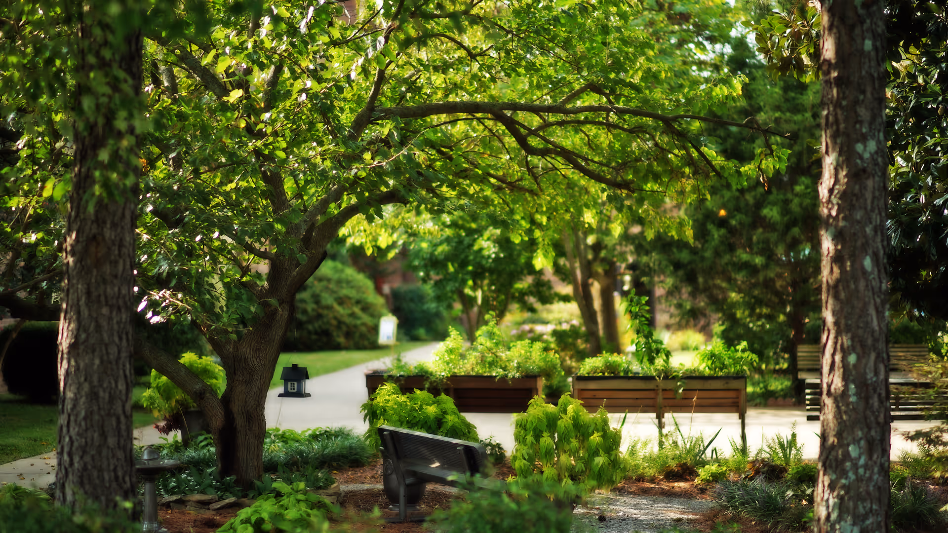 Shaded outdoor garden path with benches, planter boxes, and trees.
