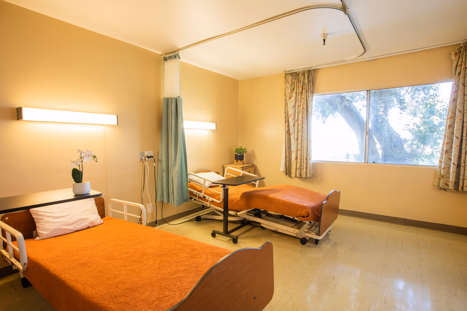 A hospital or care facility room with two beds covered in orange blankets. Each bed has a pillow and a small bedside table with a plant. There is a large window with patterned curtains letting in natural light, and a ceiling-mounted curtain track between the beds for privacy.