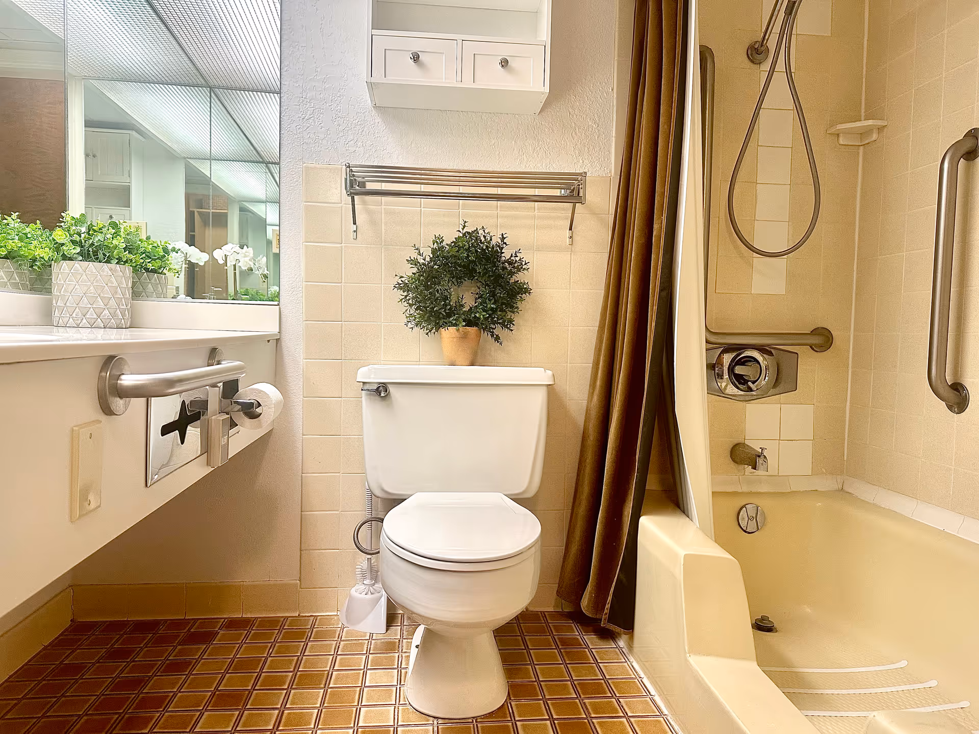 Accessible bathroom with a toilet, bathtub/shower with grab bars, sink counter and mirror, and potted plants.