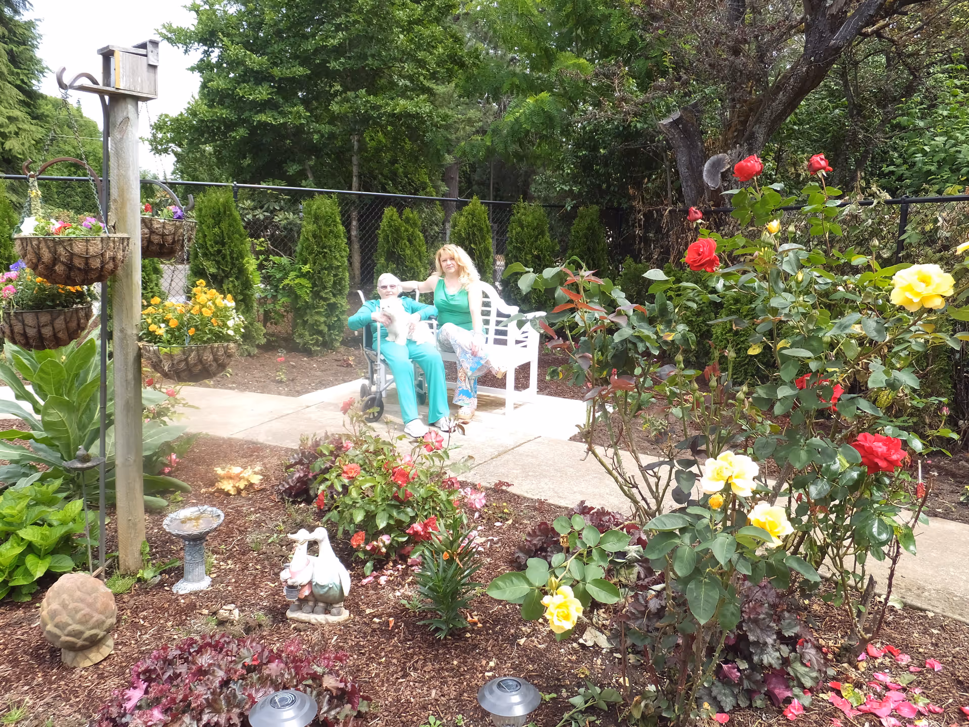 An elderly woman in a wheelchair holding a small white dog is sitting next to a younger woman on a white bench in a garden. The garden is filled with colorful flowers, including red and yellow roses, hanging flower baskets, and various green plants. There is a paved walkway and a fence with trees in the background.