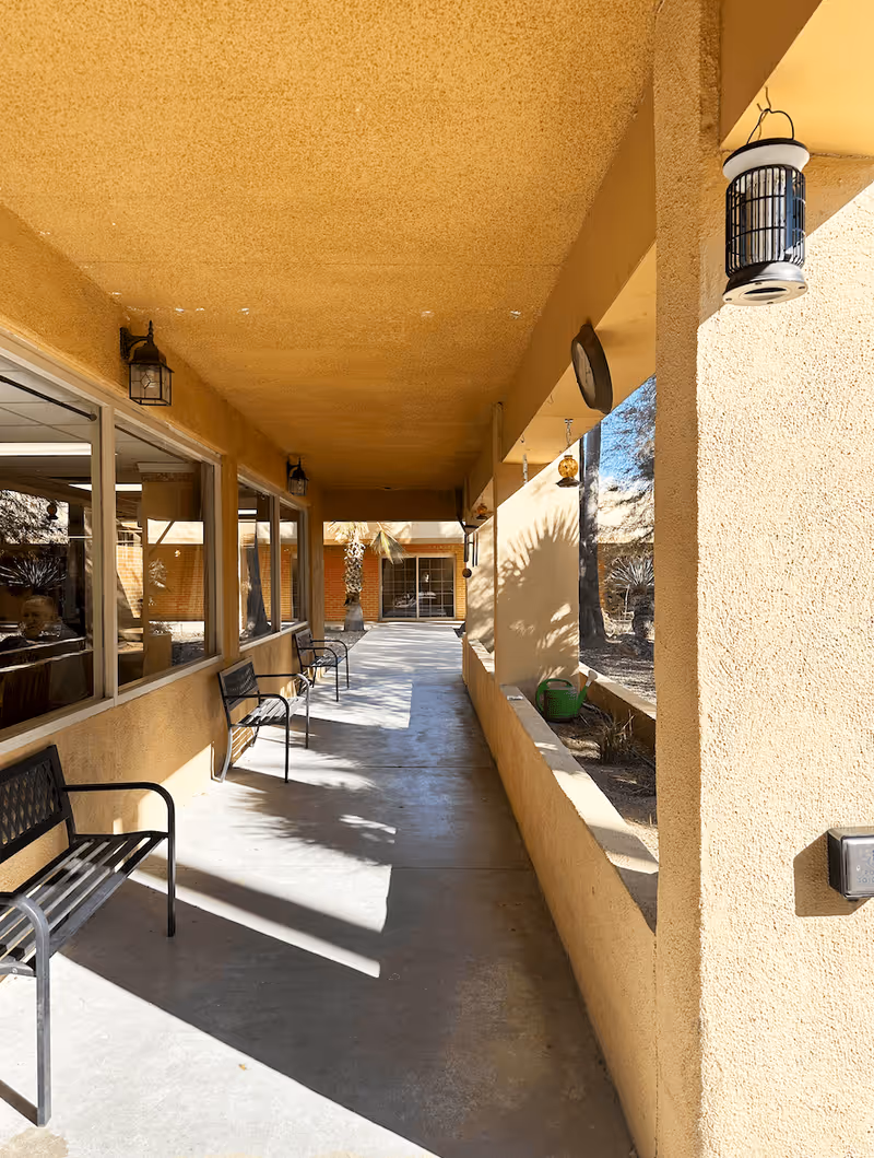 A covered outdoor walkway with beige textured walls and ceiling, featuring black metal benches along the left side next to large windows. On the right side, there is a low wall with openings allowing sunlight and shadows to fall on the concrete floor. Lantern-style light fixtures hang from the ceiling, and a green watering can is visible on the right ledge. In the background, there is a palm tree and a glass door entrance.