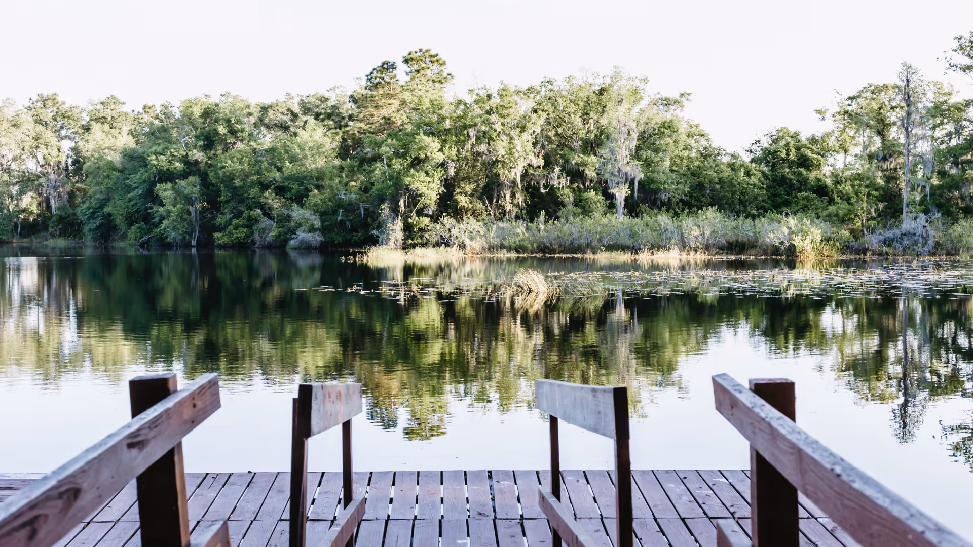 View from a wooden dock overlooking a calm lake with trees and greenery reflected in the water under a bright sky.