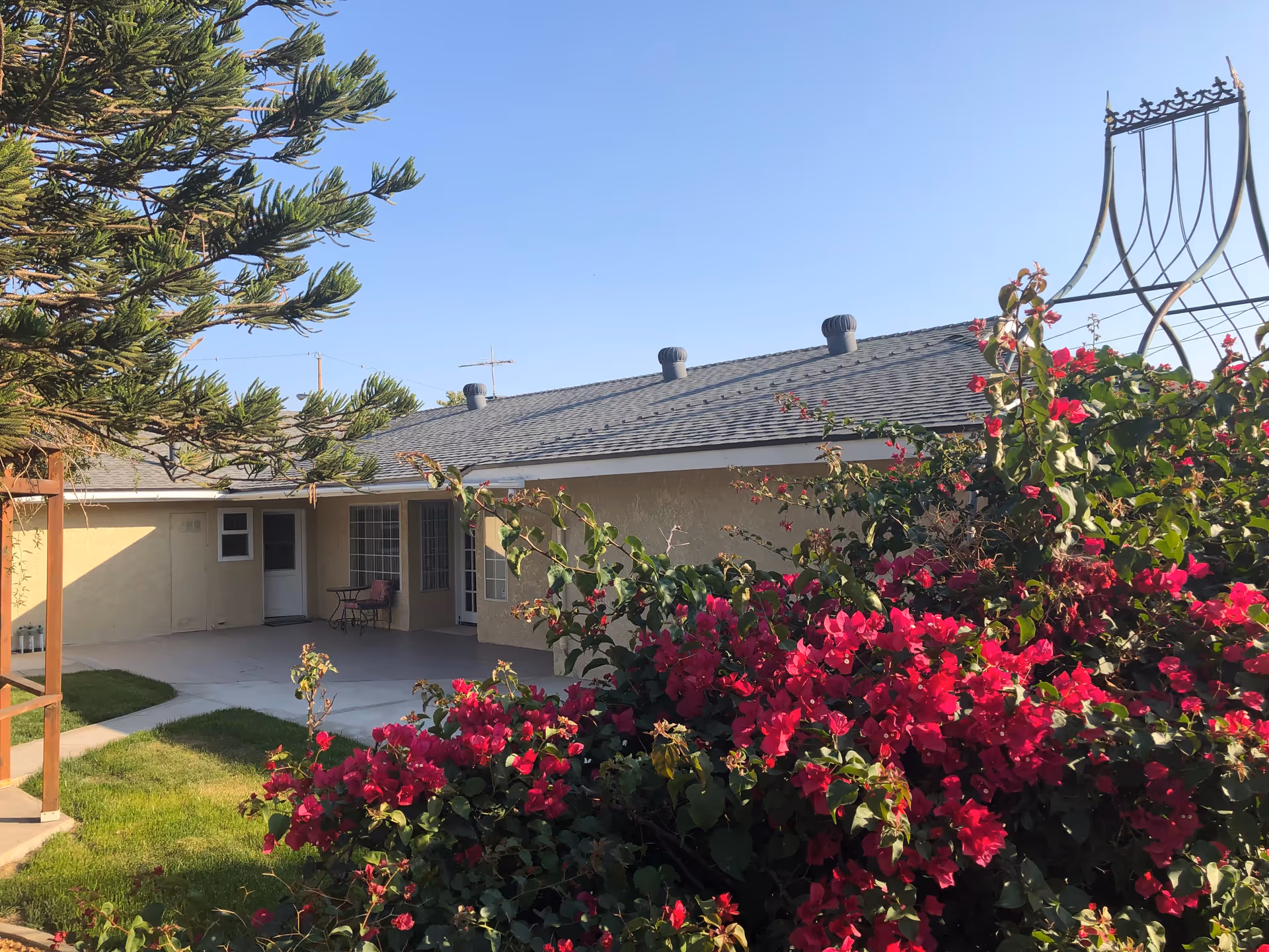 Outdoor view of a senior care facility with a beige building, a patio area with a small table and chairs, green grass, a large tree on the left, and vibrant pink flowers in the foreground under a clear blue sky.