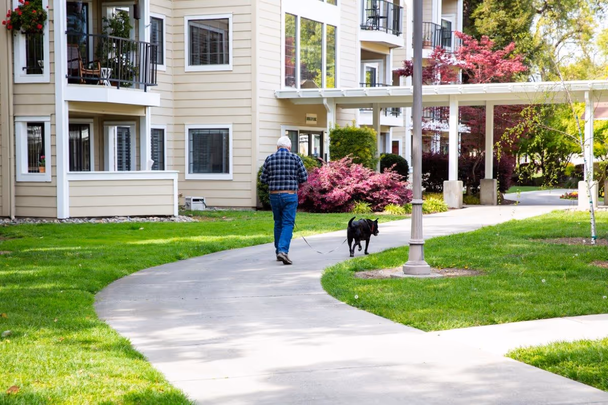 An elderly man walking a black dog on a leash along a curved sidewalk outside a beige senior living facility building with balconies and windows. The area is landscaped with green grass, bushes, and trees with red and green foliage.