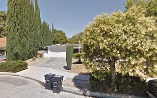 Driveway and front yard of a residential building with tall green trees, bushes, and two black trash bins placed near the curb.