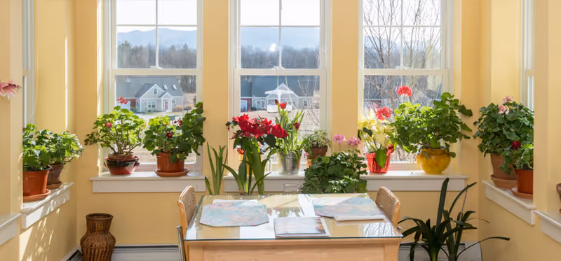 A bright sunroom with large windows showing a view of houses and mountains outside. Inside, there is a wooden table with placemats and several potted plants with green leaves and red flowers placed on the windowsills and floor. The walls are painted yellow, and there are wooden chairs around the table.