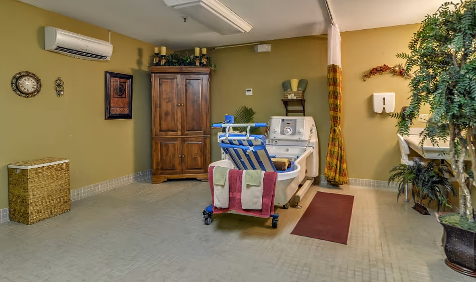 A room with a medical bathing chair positioned in front of a specialized bathtub, towels hanging on the chair. The room has green walls, a wooden cabinet, a wall clock, an air conditioning unit, a wicker basket, a red rug, a hand sanitizer dispenser, and several potted plants.