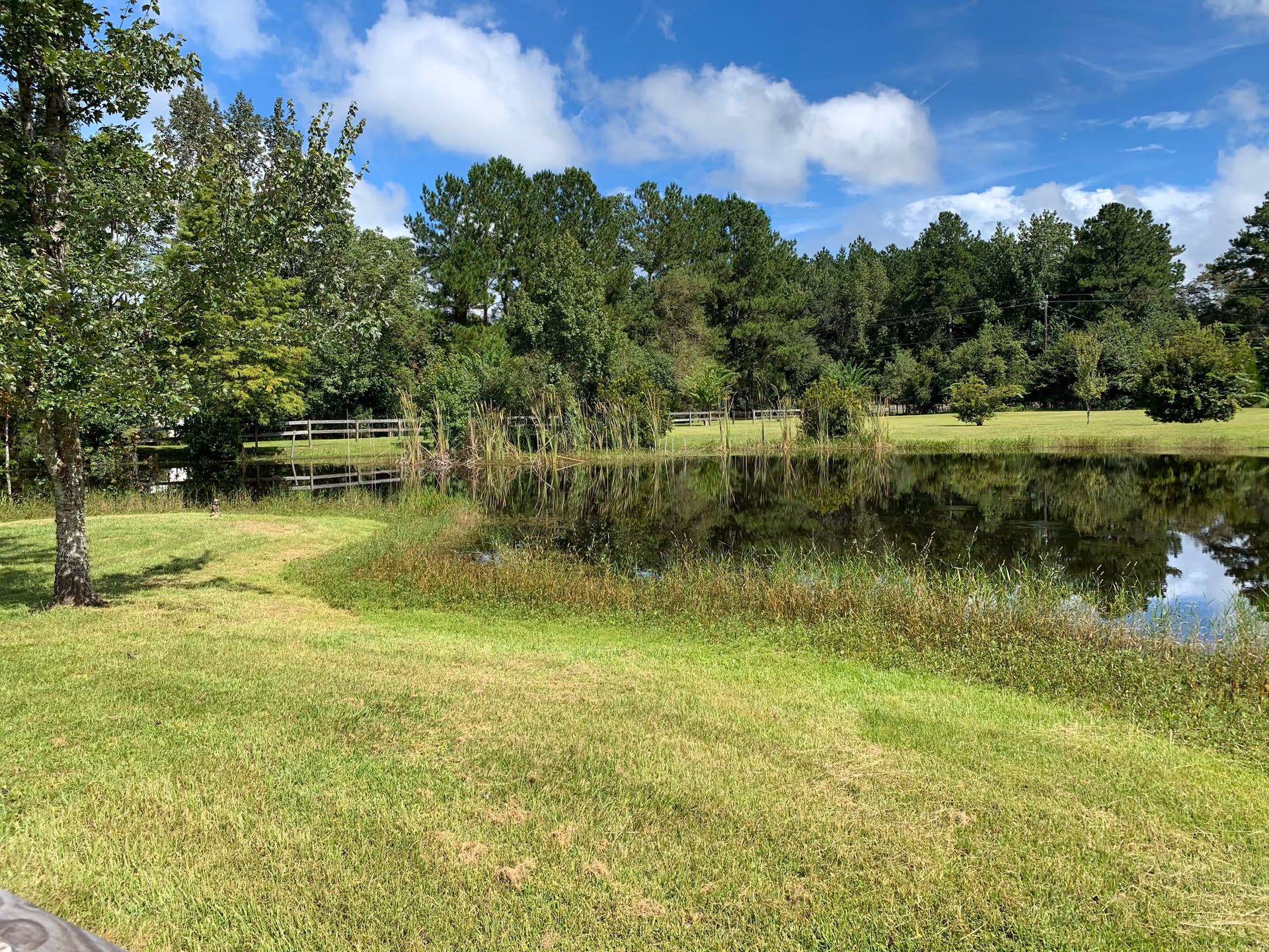 A peaceful outdoor scene featuring a small pond surrounded by green grass and various trees under a partly cloudy blue sky.