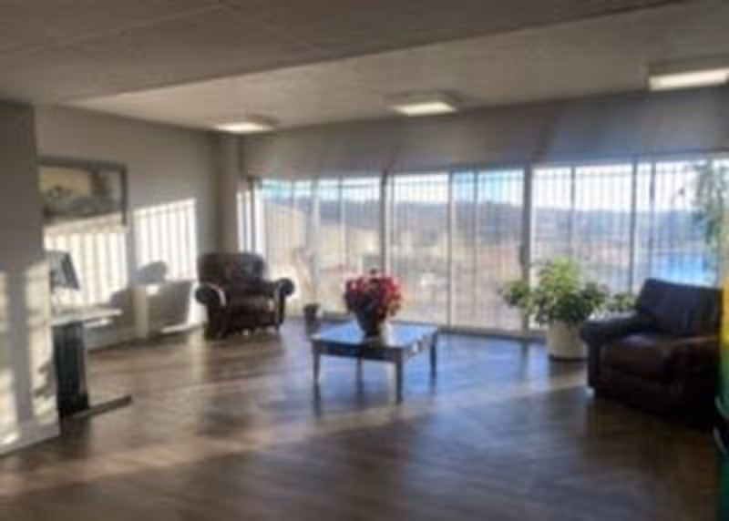 A spacious living room with large floor-to-ceiling windows letting in natural light. The room features two dark leather armchairs, a coffee table with a flower arrangement, and several potted plants near the windows. The floor has a wood pattern, and the walls are light-colored.