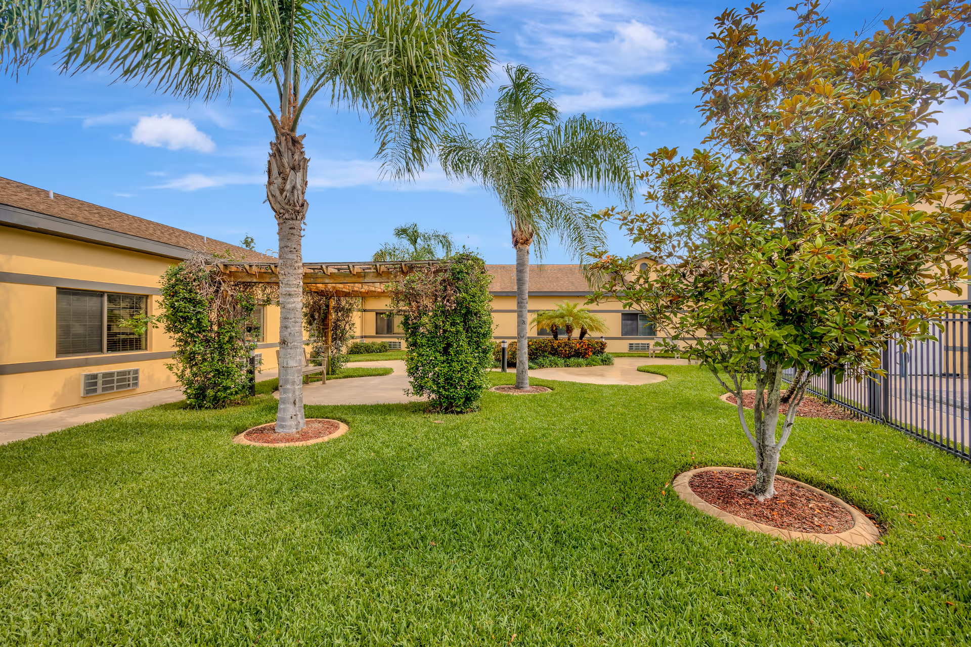 A well-maintained outdoor garden area at Inspired Living at Ivy Ridge featuring green grass, palm trees, a small tree with mulch around its base, a wooden pergola with climbing plants, and a paved walkway. The building with beige walls and windows surrounds the garden under a blue sky with some clouds.