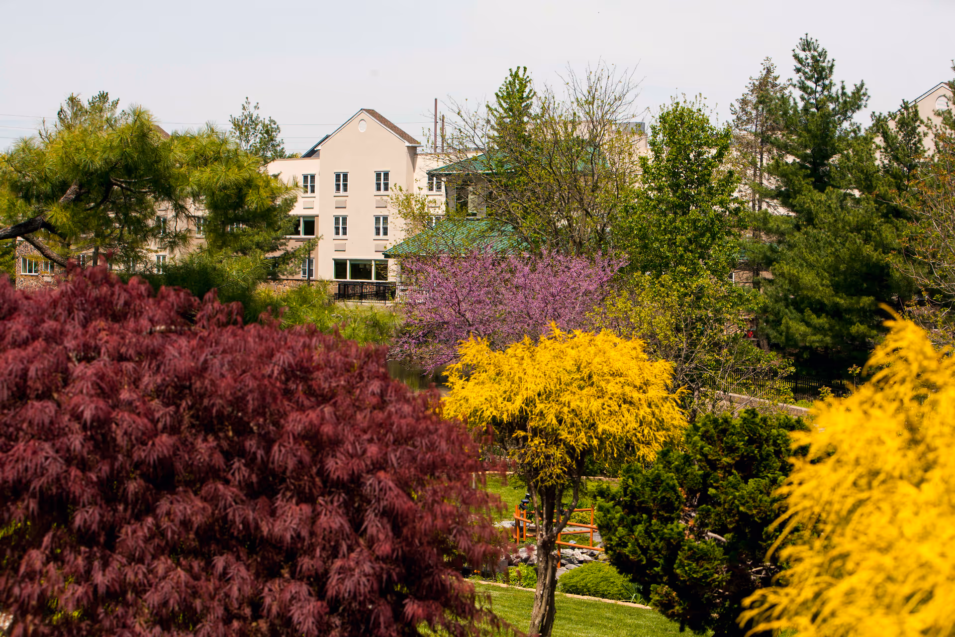 View of a senior living facility building partially obscured by various trees and shrubs with vibrant foliage in red, yellow, and green colors, along with a small wooden bench visible in the garden area.