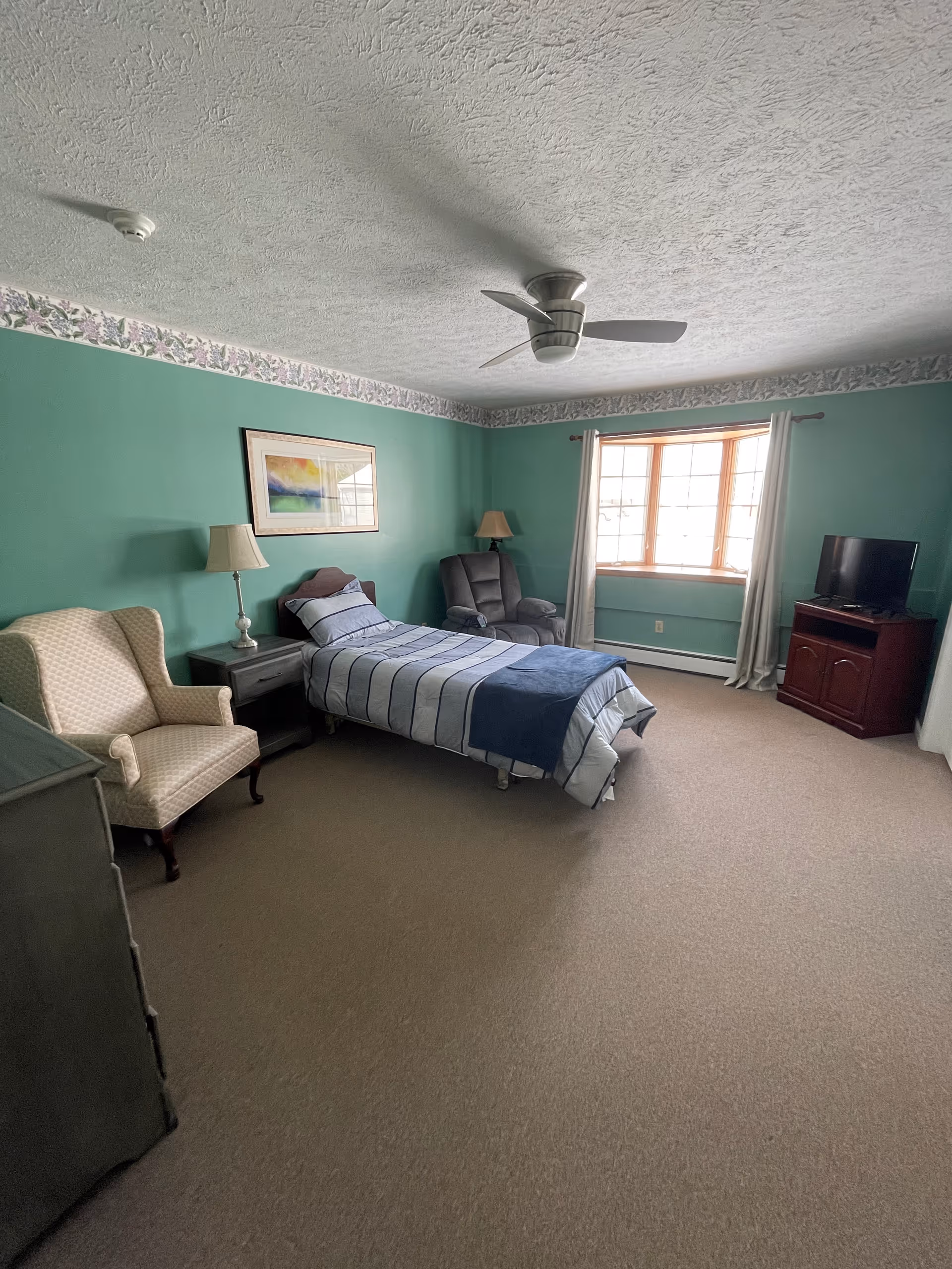 Spacious bedroom with green walls featuring a single bed, two armchairs, a TV on a cabinet, and a window with curtains.