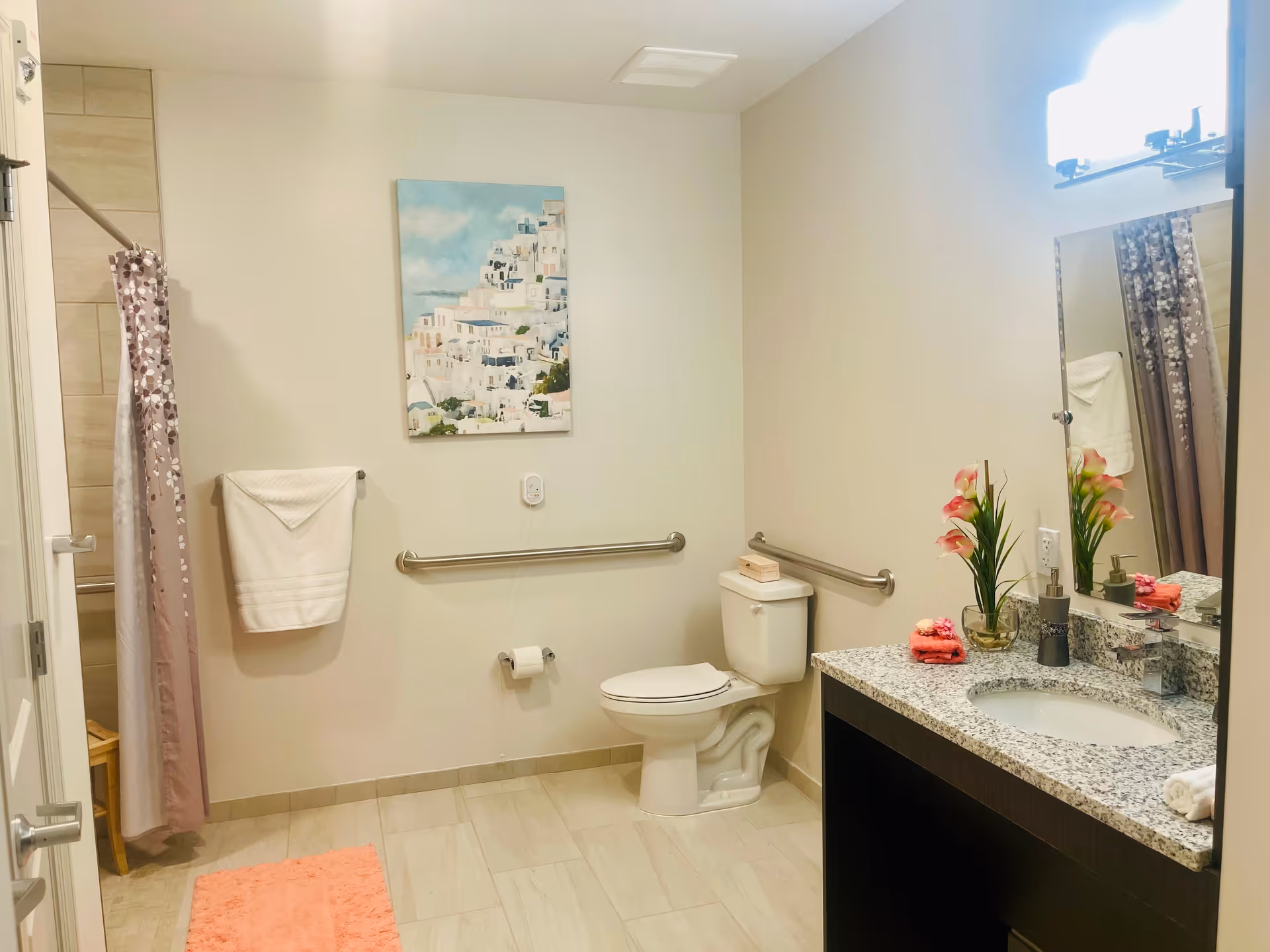 Accessible bathroom with a toilet flanked by stainless grab bars, a granite sink vanity with mirror and flowers, a shower with a floral curtain and wall art on the wall.