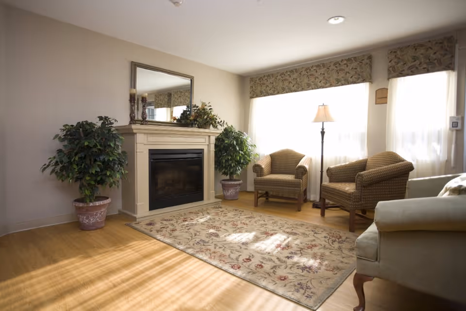 Well-lit sitting area with a fireplace, mirror, potted plants, two armchairs, a floor lamp, and a patterned rug.