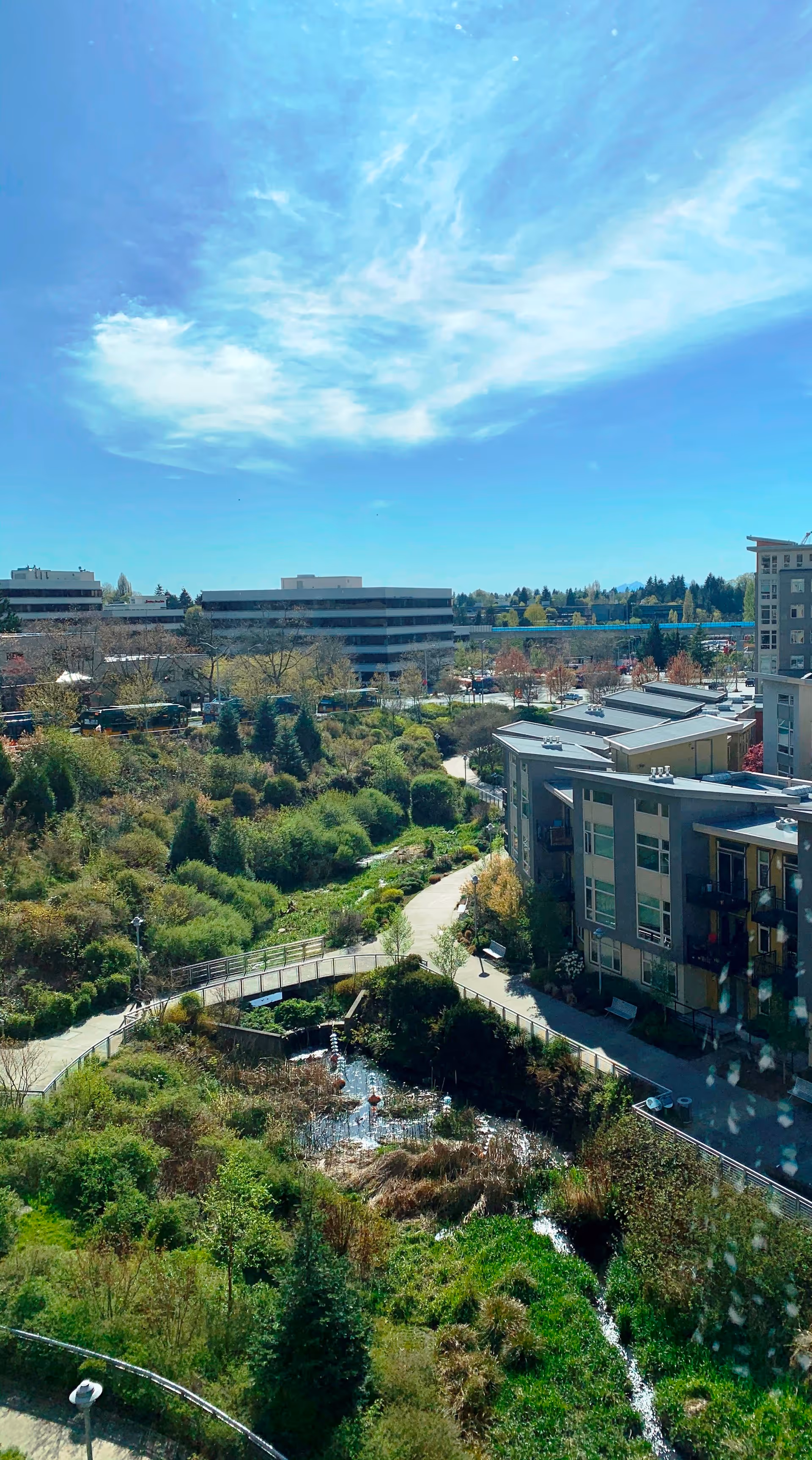 View of a landscaped outdoor area with walking paths, greenery, and a small water feature, surrounded by modern buildings under a blue sky with some clouds.