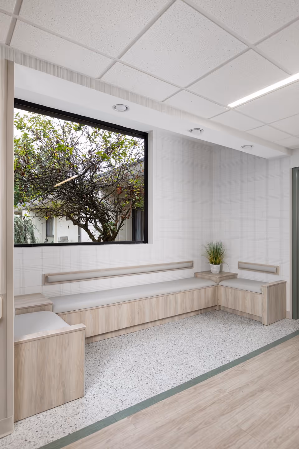 Bright interior waiting area with built-in light wood benches, a large window showing a tree, and a potted plant.