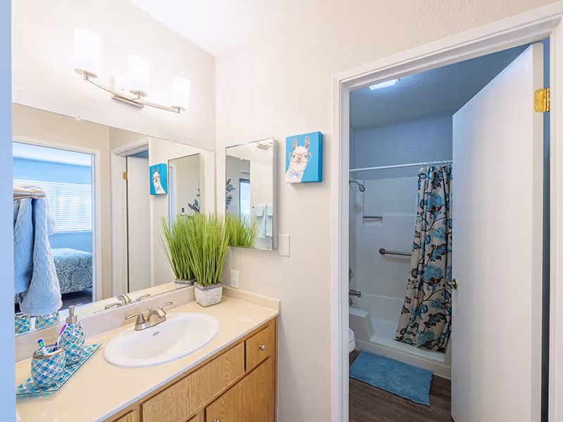 A clean bathroom with a beige countertop and wooden cabinets. A white sink with a silver faucet is centered on the counter, which also holds a small potted plant and a soap dispenser on a blue patterned tray. Above the sink is a large mirror with three lights mounted above it. To the right, an open door reveals a shower area with a blue and white floral shower curtain and a blue bath mat on the floor. A small piece of wall art featuring a llama is hung on the wall next to the door. In the reflection of the mirror, a bedroom with a bed and window blinds is partially visible.