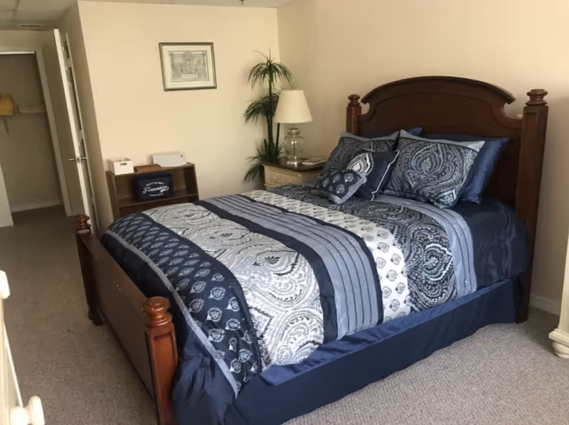 A bedroom with a wooden bed frame and a neatly made bed with blue and gray patterned bedding. There is a nightstand with a lamp and a tall plant next to it. A small bookshelf with items on it is against the wall, and an open door leads to a closet.