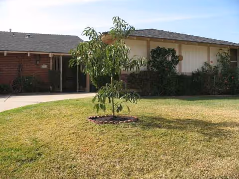Single-story senior living facility exterior with a small tree and manicured lawn.
