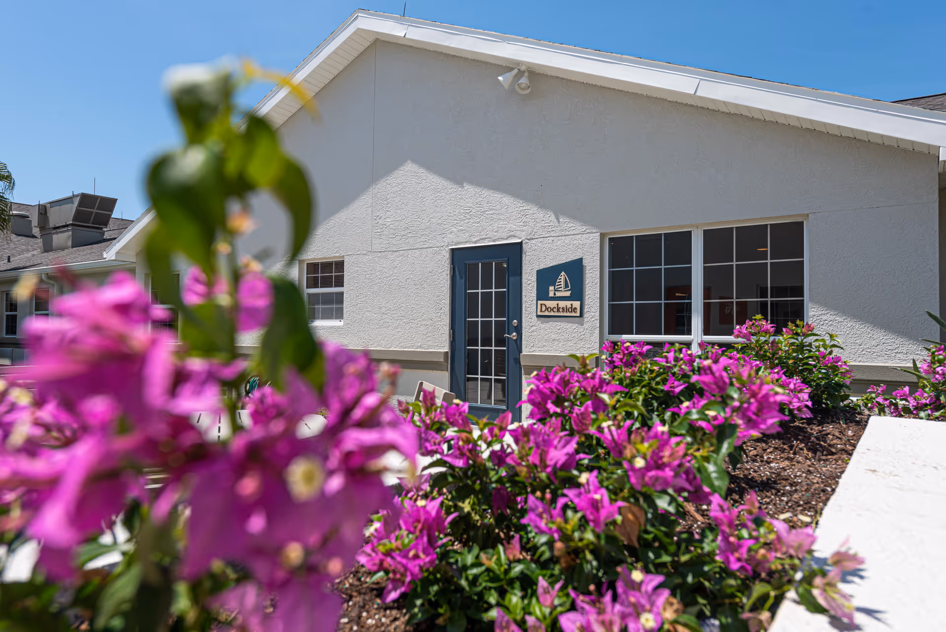 Exterior view of a building with a white wall and a blue door labeled 'Dockside'. There are large windows next to the door and vibrant purple flowers in the foreground under a clear blue sky.