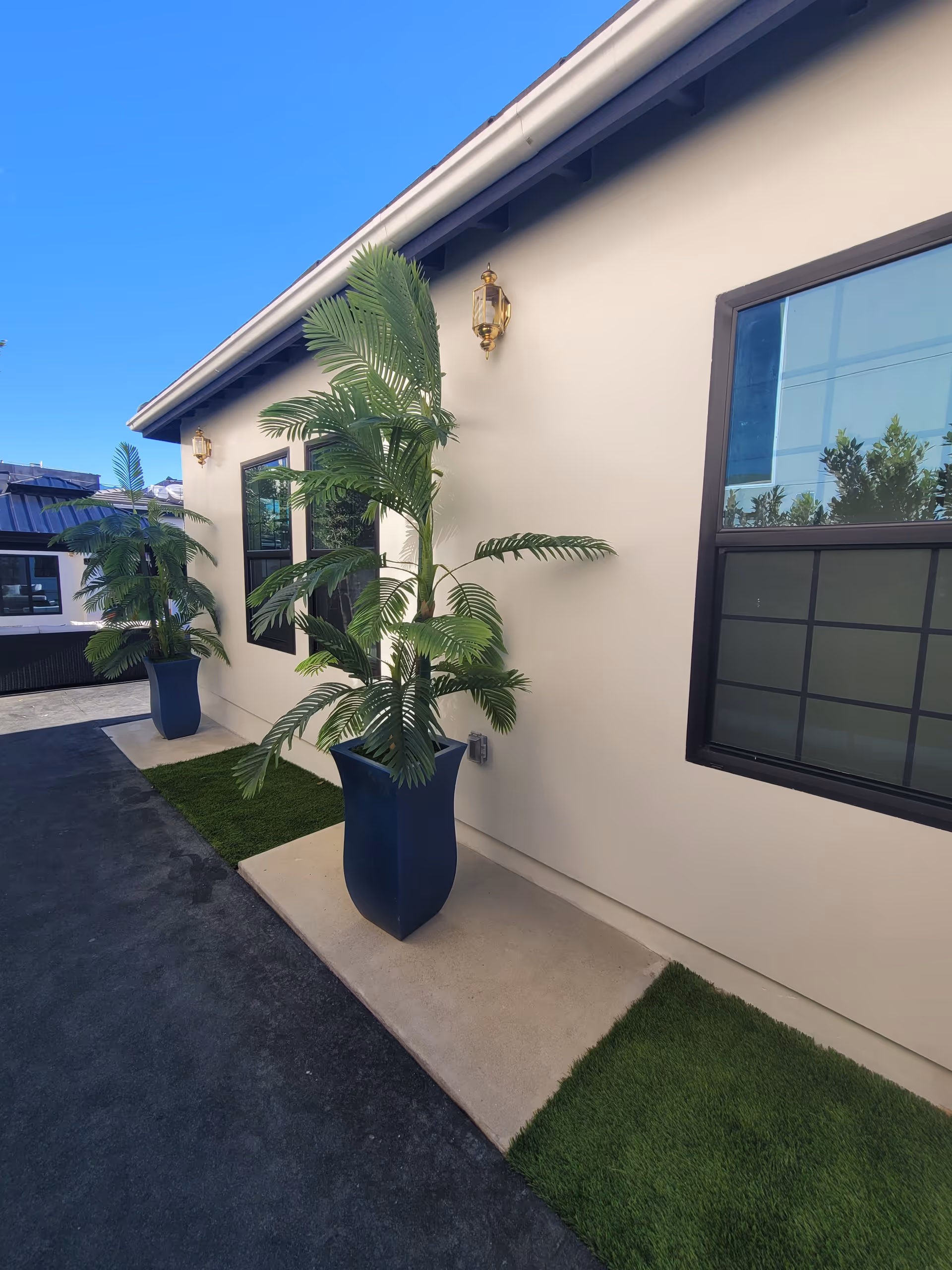 Exterior side view of a building with beige walls, two large windows with black frames, two tall potted plants in blue planters placed on concrete slabs, green grass patches beside the slabs, and a clear blue sky above.