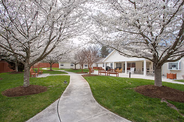 A paved walkway curves through a green lawn with blooming cherry blossom trees on either side. Wooden benches are placed along the path. In the background, there is a single-story building with a covered porch and outdoor seating.