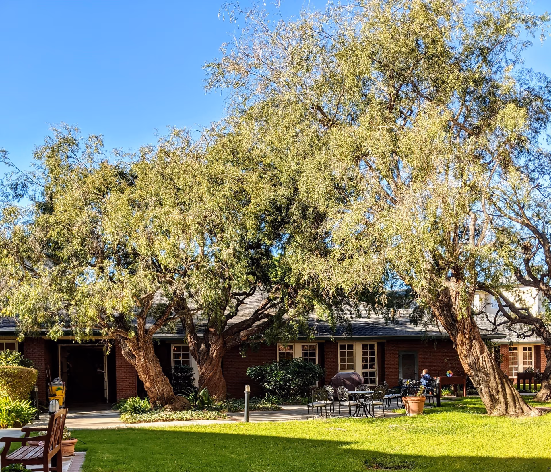 Outdoor courtyard area at Carmel Village with large leafy trees, green grass, metal patio tables and chairs, a wooden bench, and a brick building with multiple windows in the background under a clear blue sky.
