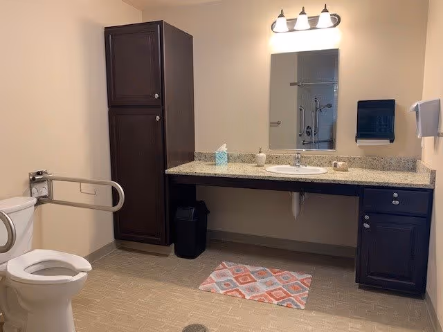 A spacious bathroom with a toilet equipped with a safety grab bar, a large countertop with a sink, a mirror above the sink, a tall dark wood cabinet, a small trash bin, a patterned floor mat, and wall-mounted soap and paper towel dispensers.