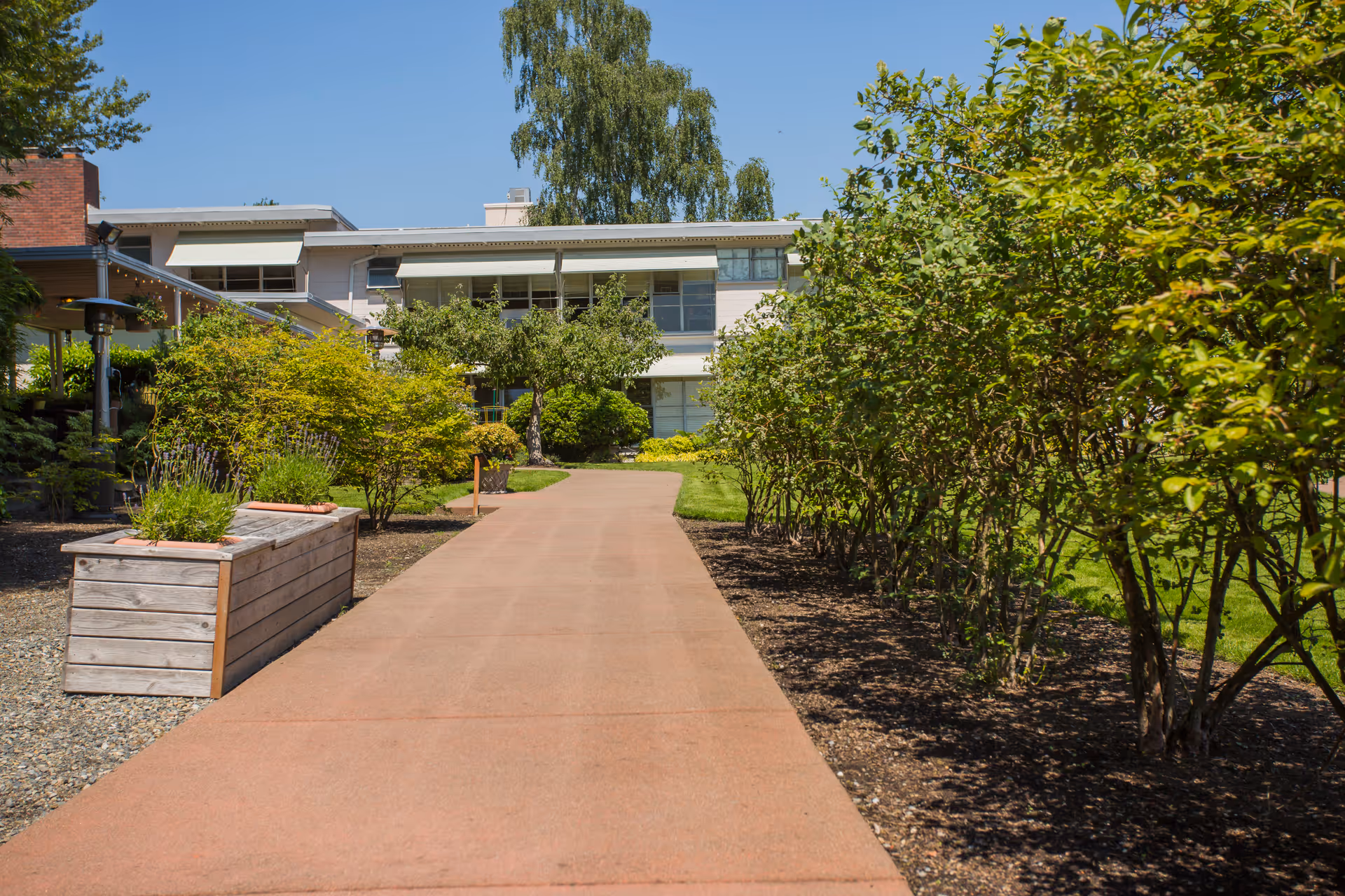 A paved walkway leading through a garden area with green bushes and trees on both sides, heading towards a two-story building under a clear blue sky.
