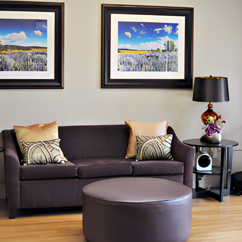 A cozy living room area with a dark brown sofa adorned with two decorative pillows, a round brown ottoman in front, and a black side table with a lamp and a small flower arrangement. Two framed landscape paintings hang on the light-colored wall above the sofa.