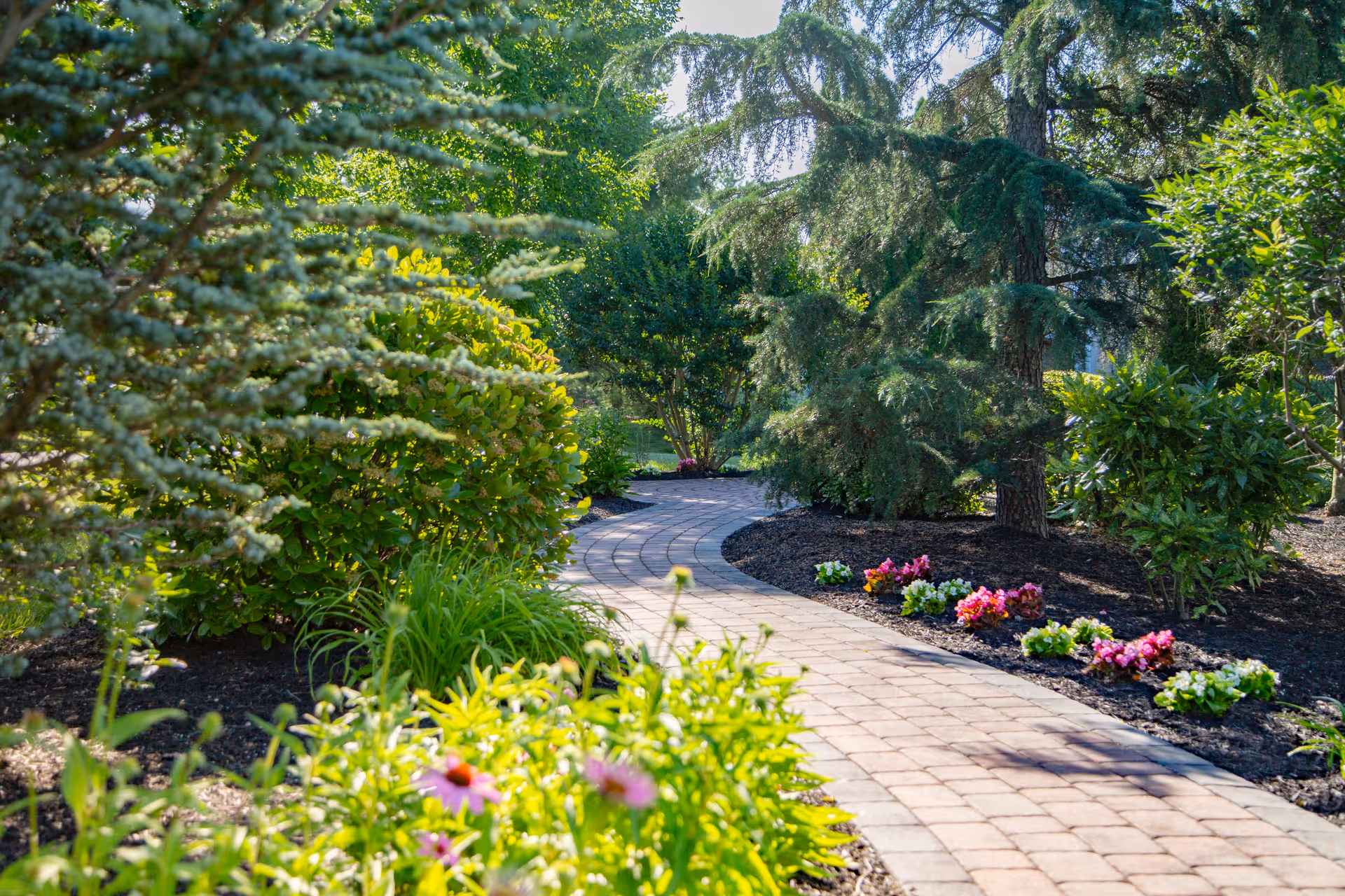 A curved paved walkway surrounded by lush greenery, flowering plants, and trees in a garden setting with sunlight filtering through the foliage.
