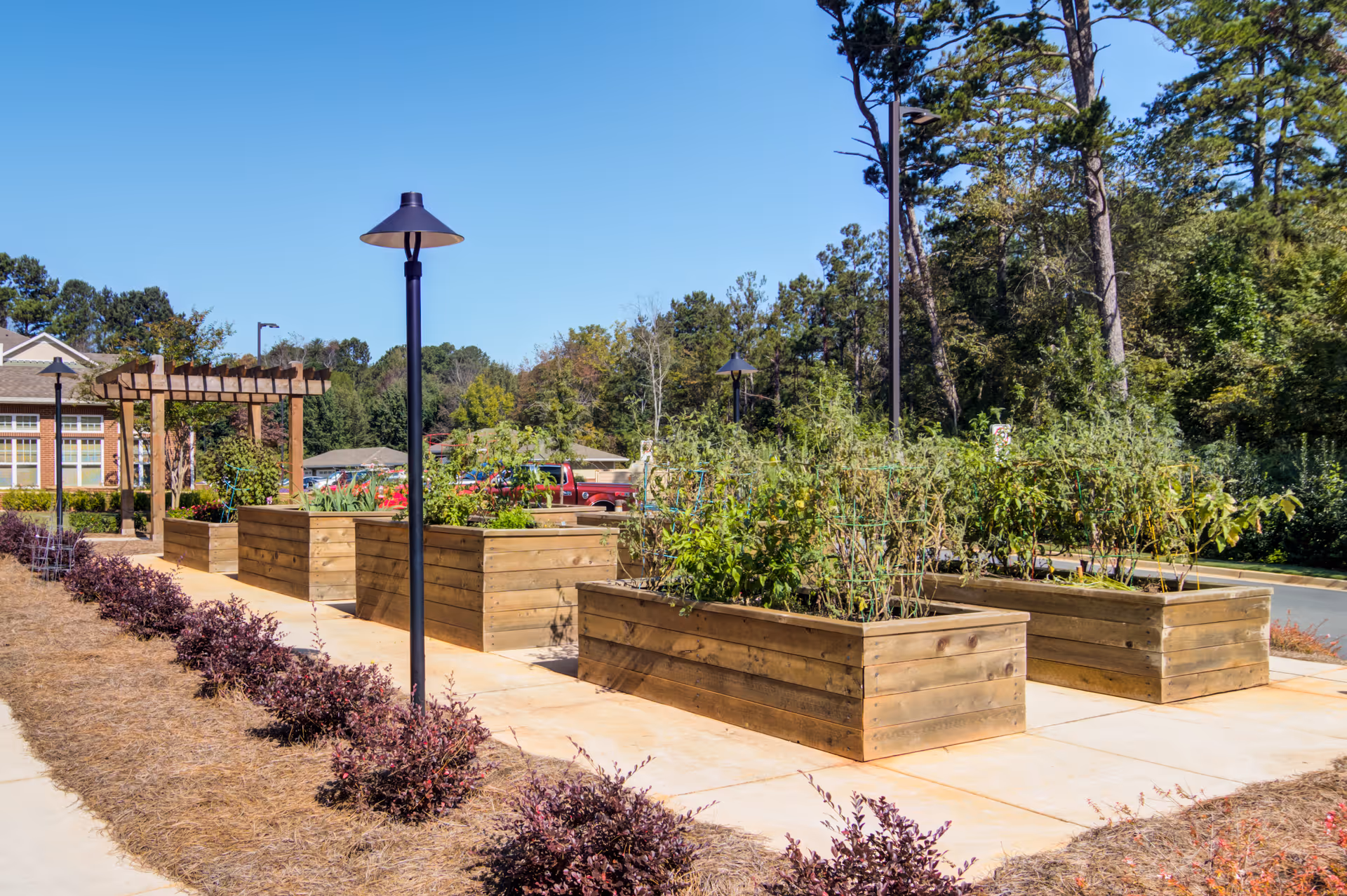 Outdoor garden area with multiple raised wooden planter boxes containing various plants and shrubs. There are black lamp posts along the paved walkway, and a wooden pergola structure is visible in the background. Trees and a building are also seen in the distance under a clear blue sky.