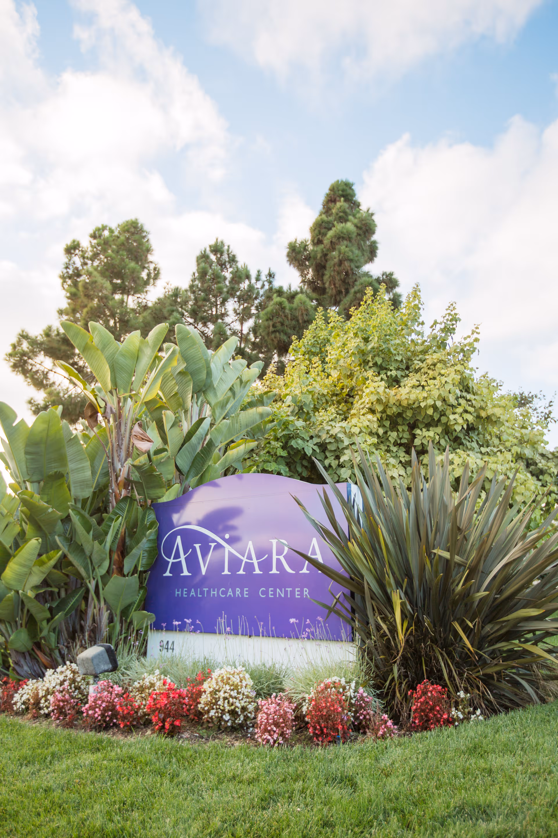 A landscaped outdoor area with a purple sign that reads 'Aviara Healthcare Center' surrounded by green plants, bushes, and colorful flowers under a partly cloudy sky.