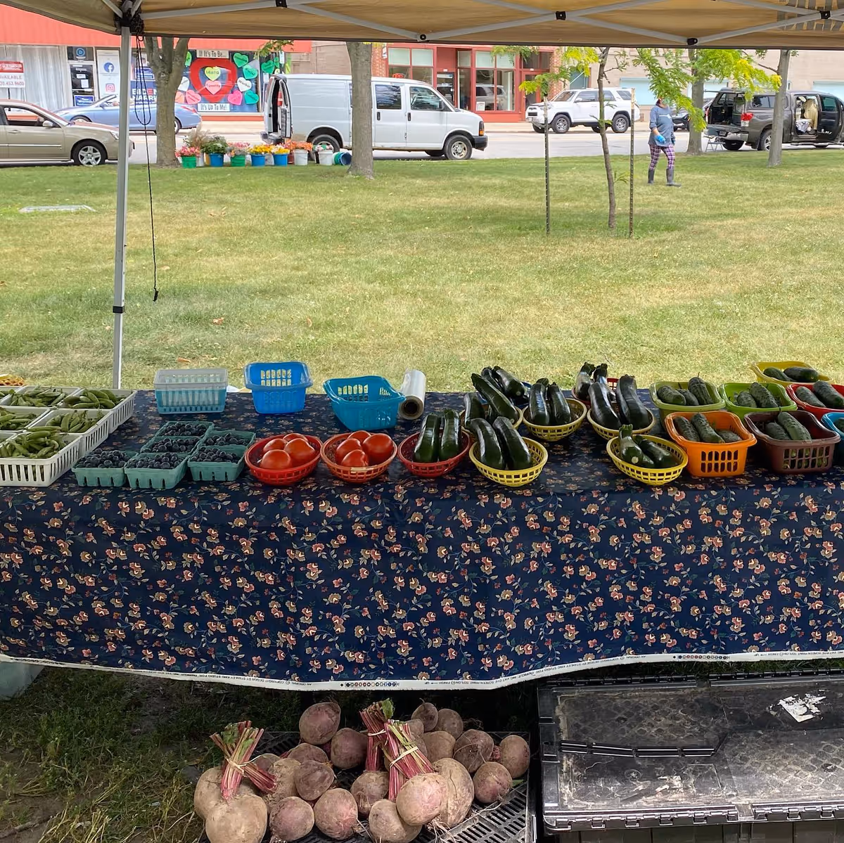 A farmer's market stall with a table covered by a floral tablecloth displaying various fresh vegetables including green beans, blueberries, tomatoes, zucchinis, and cucumbers. Below the table are bunches of beets. In the background, there is a grassy area with trees, a few parked vehicles, and a person walking.