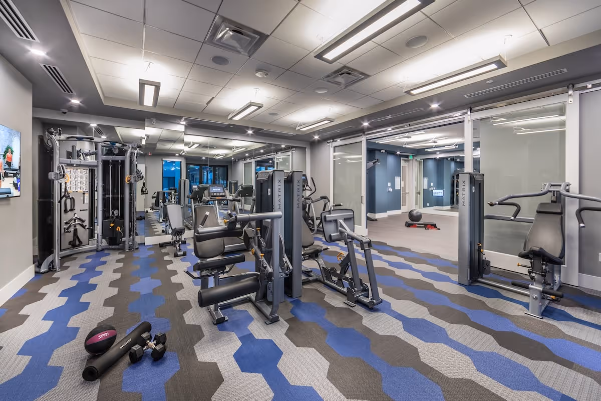 A modern fitness room with various exercise machines including weight and cardio equipment, a patterned blue, gray, and black carpet, large mirrors on the walls, and a TV mounted on the left wall. The room has bright ceiling lights and glass sliding doors leading to an adjacent area with additional exercise equipment.