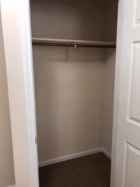Empty closet with beige walls, a wooden hanging rod supported by white brackets, and a brown carpeted floor, viewed through a white door frame.