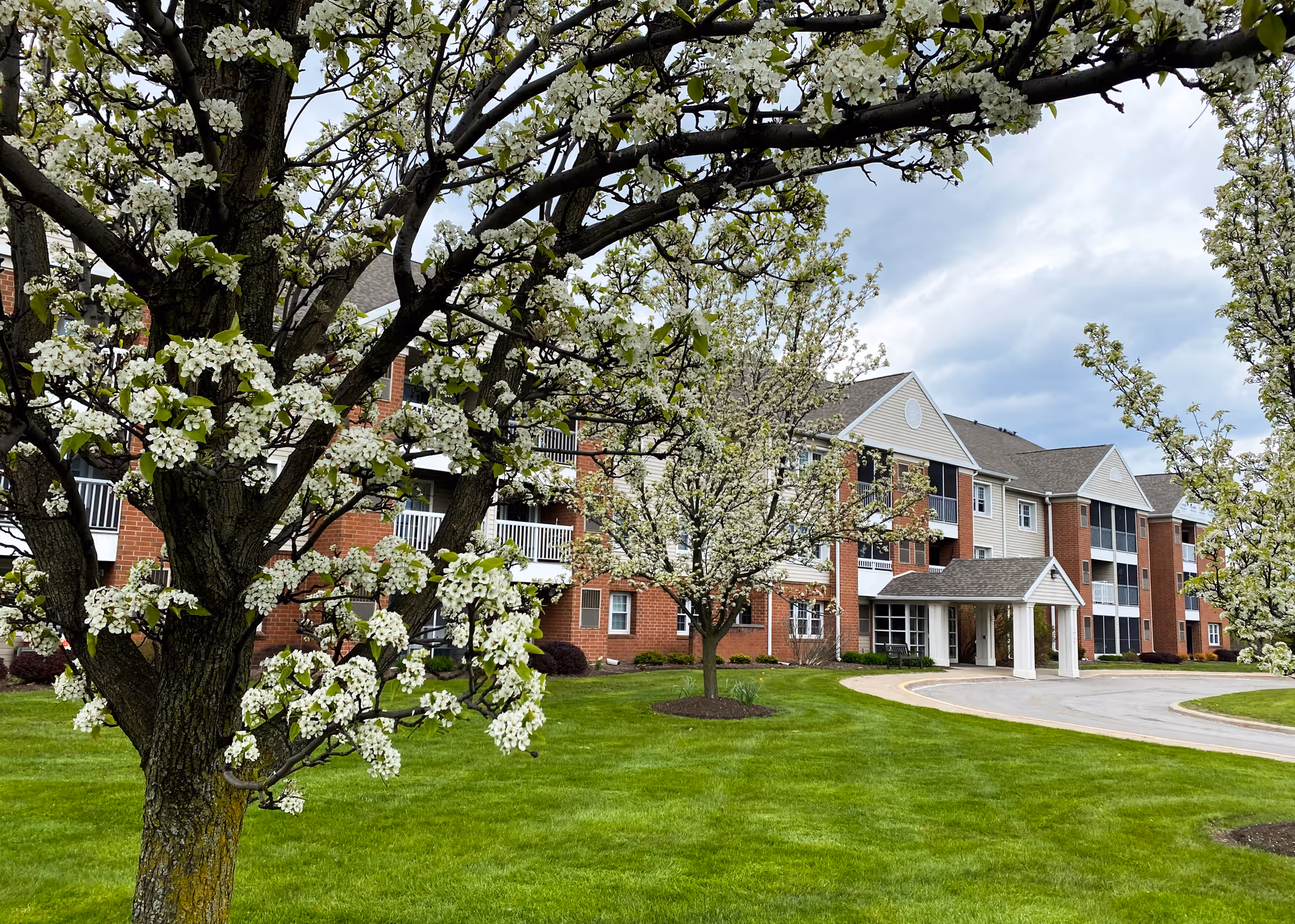 Brick senior living building front with white flowering trees, green lawn, and a covered entrance.