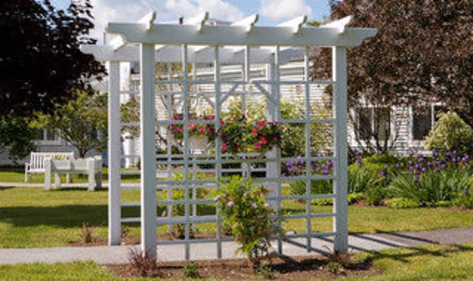 A white wooden pergola structure in a garden area with hanging flower baskets and green plants around. In the background, there are white benches, trees, and a building with white siding and windows.
