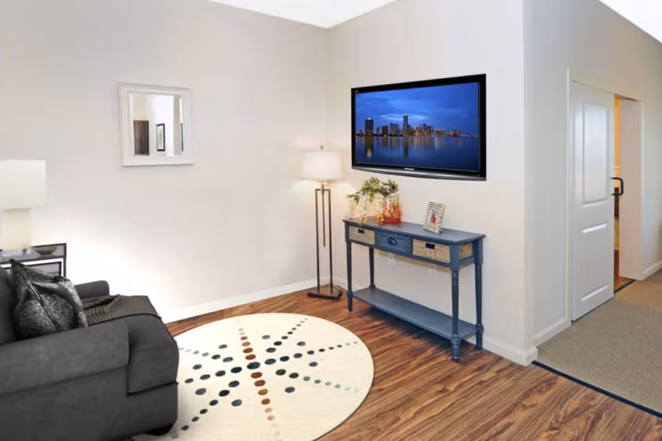 Bright living room with a gray sofa, round patterned rug, console table under a wall-mounted TV, and a standing lamp.