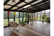 A sunroom or enclosed patio area with large windows and a glass ceiling. The floor is tiled with a brick pattern. There are several wicker chairs and a variety of potted plants placed along the windows. Colorful hanging lanterns are suspended from the ceiling beams. Outside, green grass and a fence are visible through the windows.