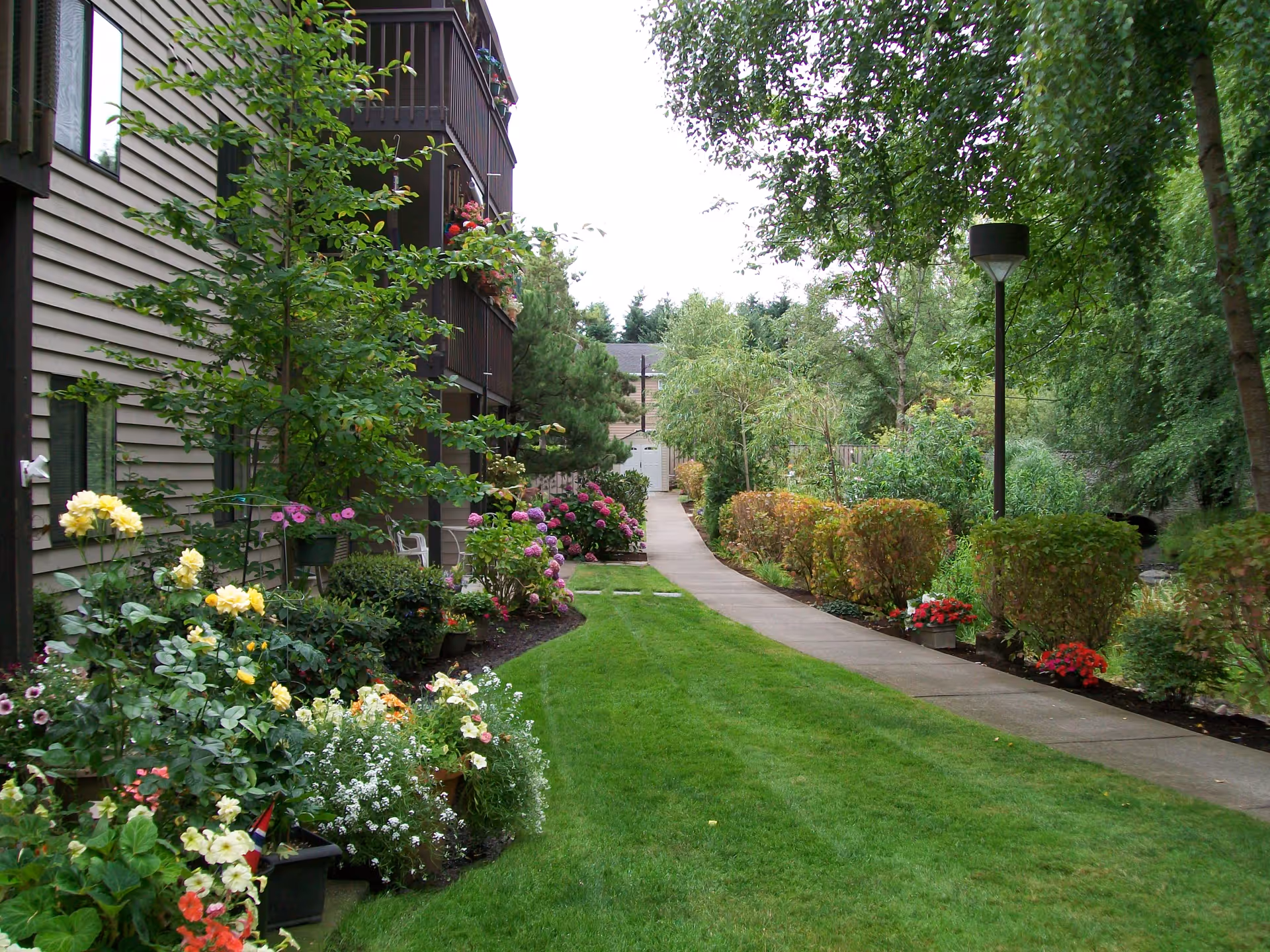 A landscaped outdoor walkway beside a building with flower beds, green grass, bushes, trees, and a lamp post along the path.