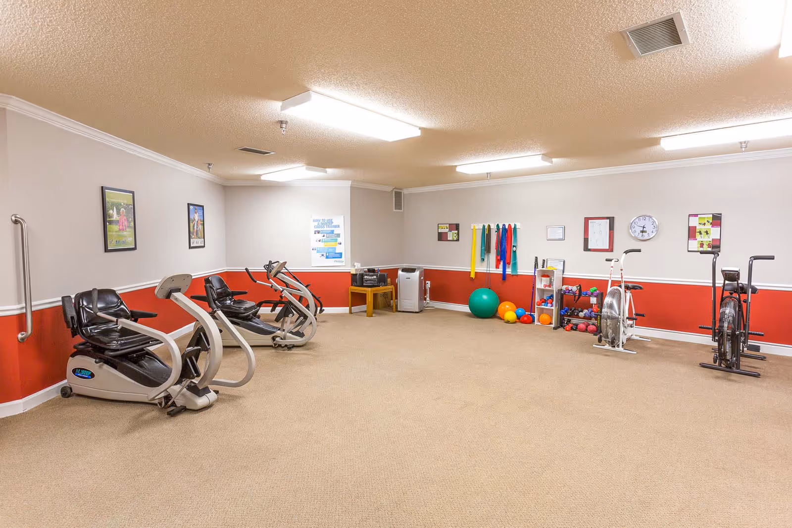 Spacious senior exercise room with recumbent and upright bikes, exercise balls, resistance bands, and shelves of small fitness equipment.